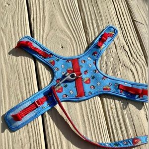 Kitten leash & harness